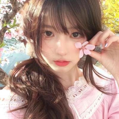 黑之契约者2:流星的双子